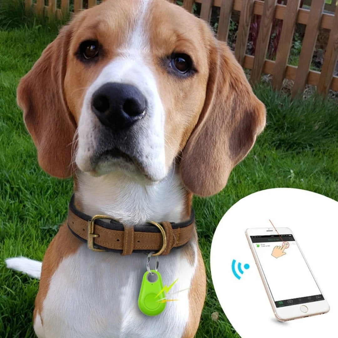 Compacte GPS-tracker – Live tracking voor kinderen, huisdieren en waardevolle spullen
